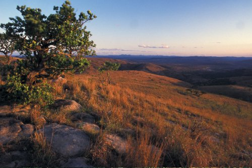Hilltop (3)